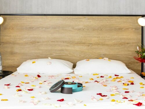 Гостиница ibis Millau в Мийо