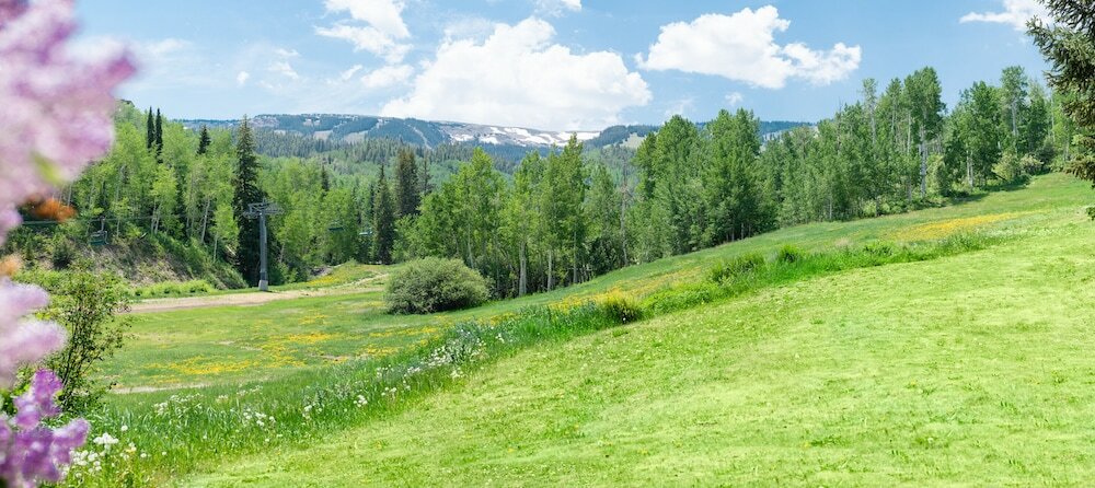 Фото Laurelwood, A Destination Residence