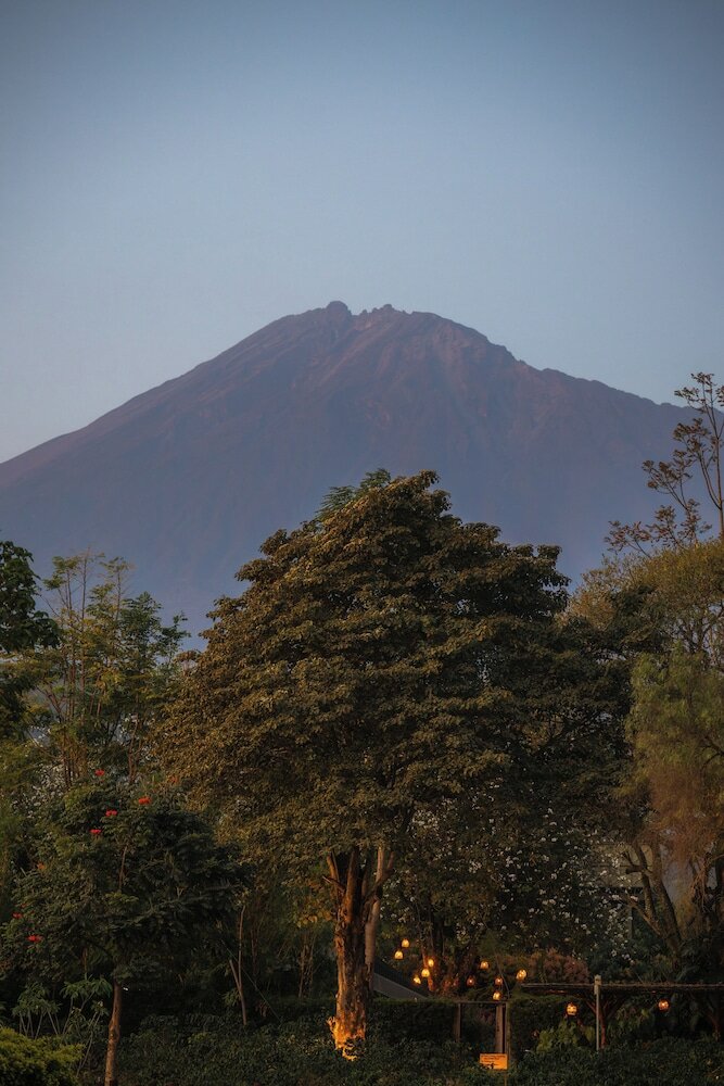 Фото Gran Melia Arusha