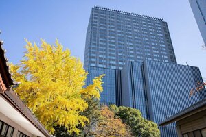 отель The Capitol Hotel Tokyu
