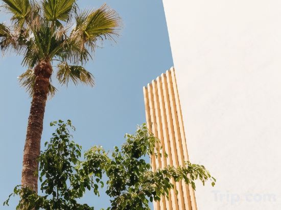 Фото Petradi Beach Lounge Hotel