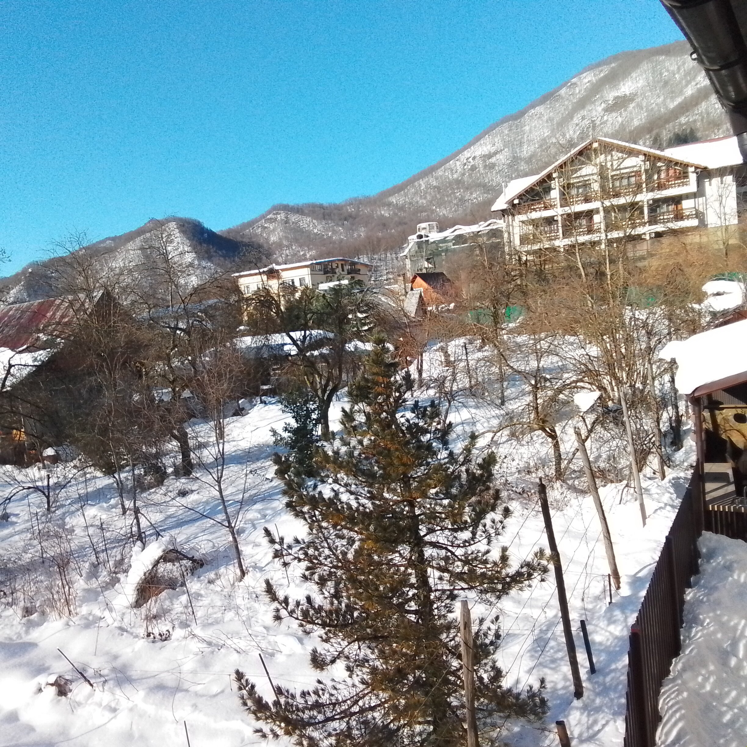 Фото Альпийский Двор