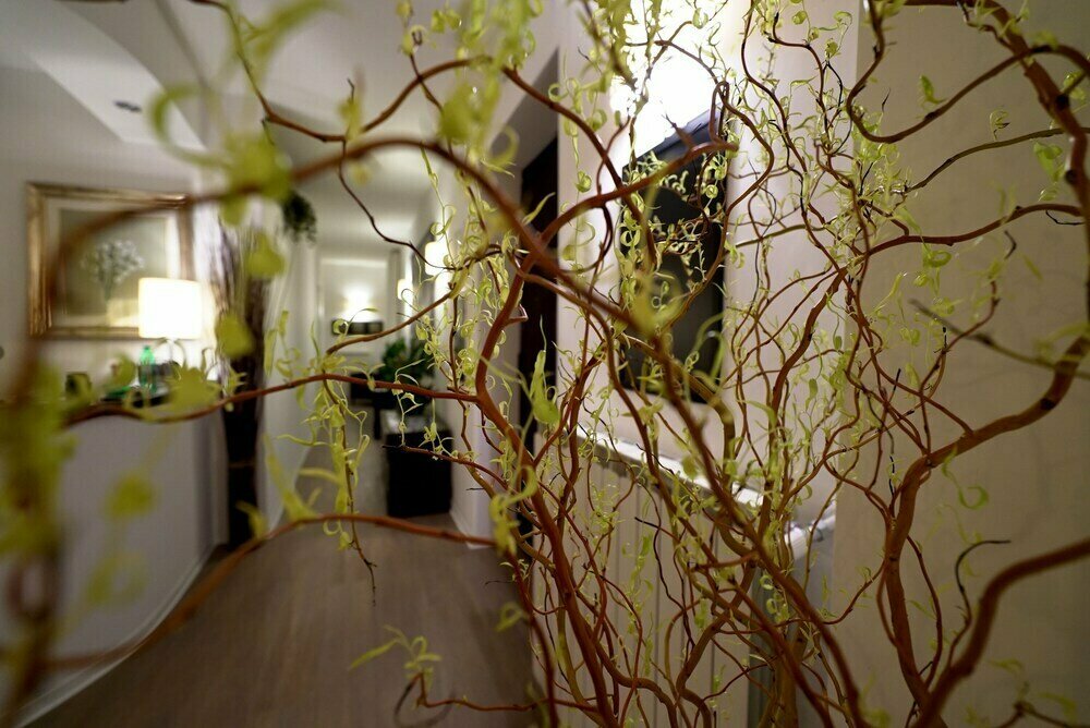 Olympic Charme, hotel, Rome, Piazza Gentile da Fabriano, 15 — Yandex Maps