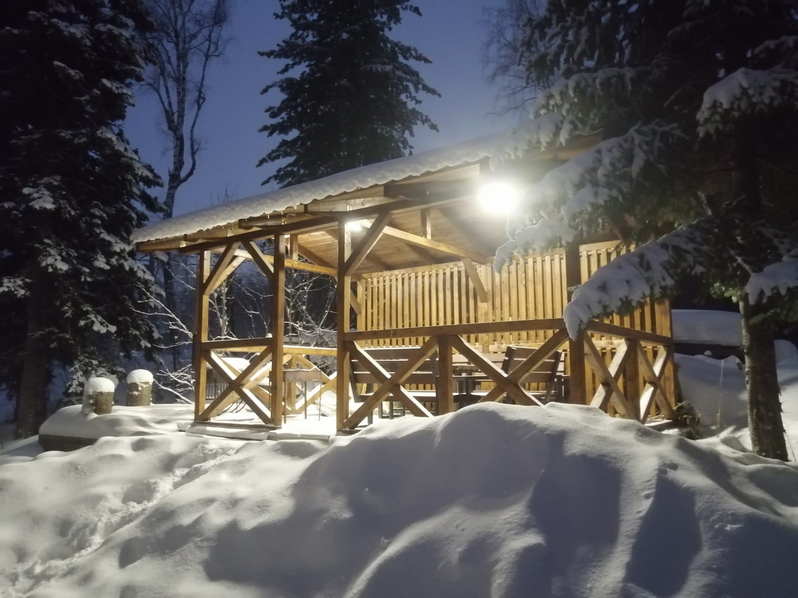 Фото Апартаменты Снегири