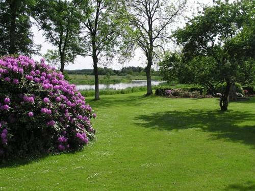 Гостиница Kongensbro Kro в Центральной Ютландии