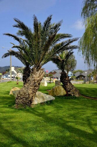 Гостиница Hôtel de la Baie de Paimpol в Сен-Бриё