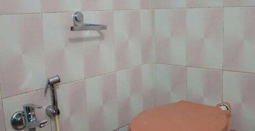 Гостиница Ally Pally Guest House в Вагаторе