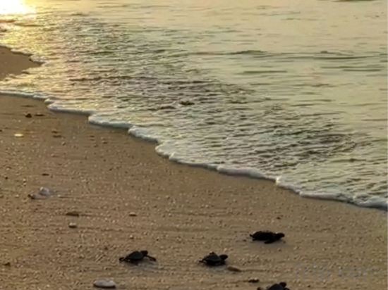 Фото Samabe Bali Suites & Villas