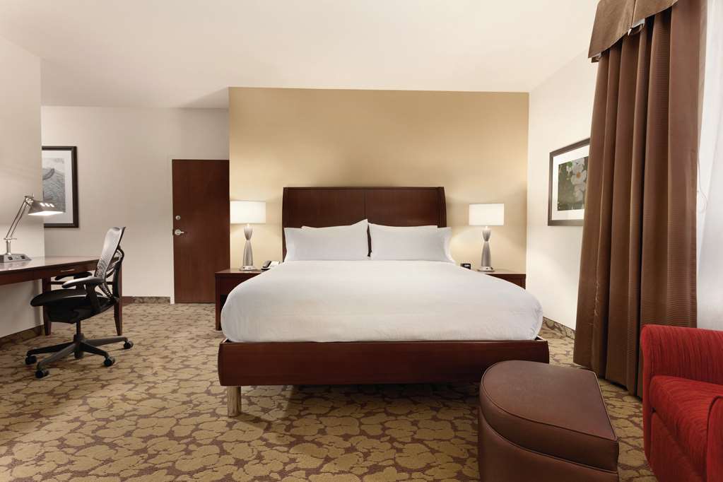 Фото Hilton Garden Inn Rochester Downtown