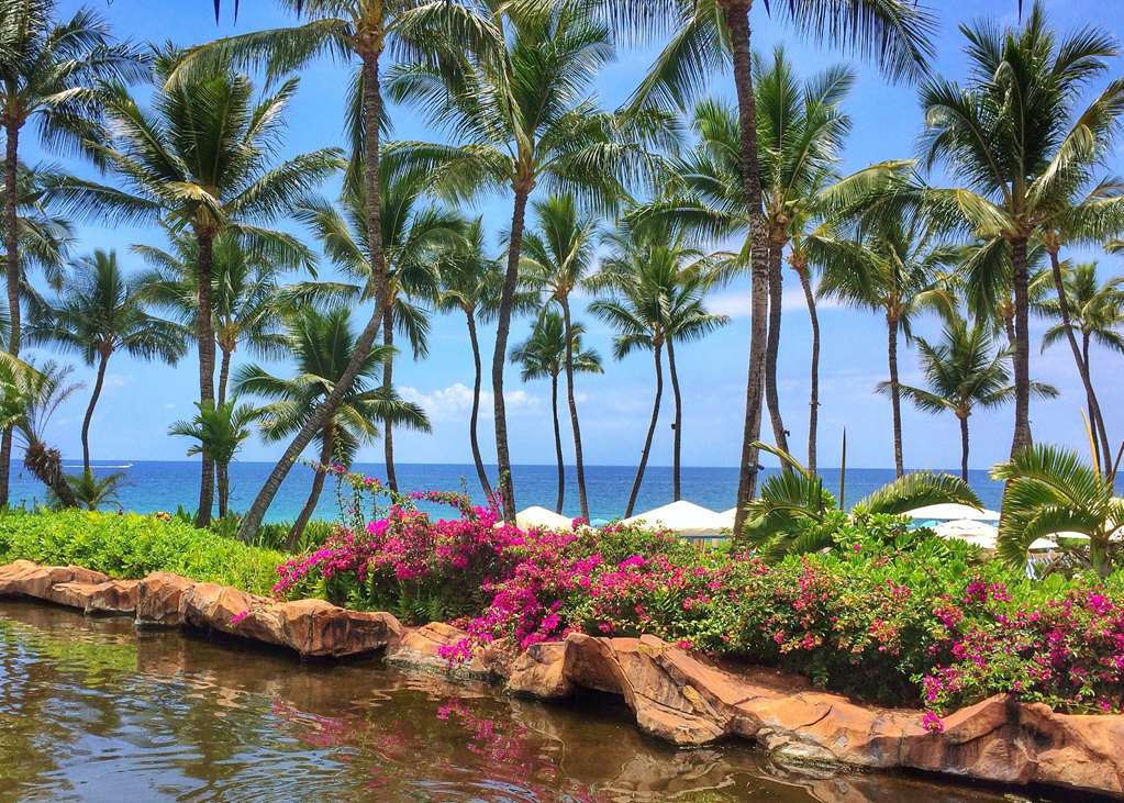 Фото Ho'olei at Grand Wailea