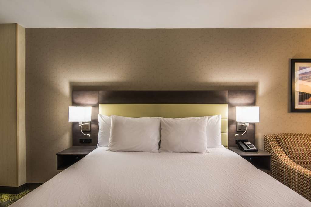 Фото Hilton Garden Inn Reagan National Airport