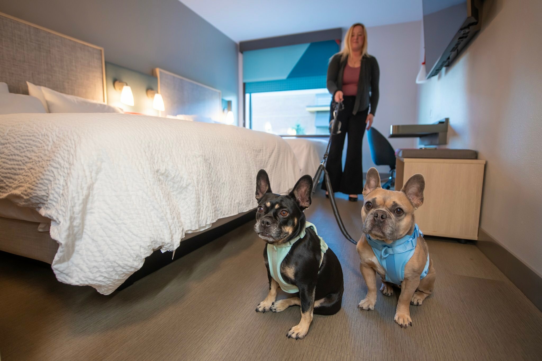 Фото Avid Hotels Lake Delton Dells Area, an Ihg Hotel