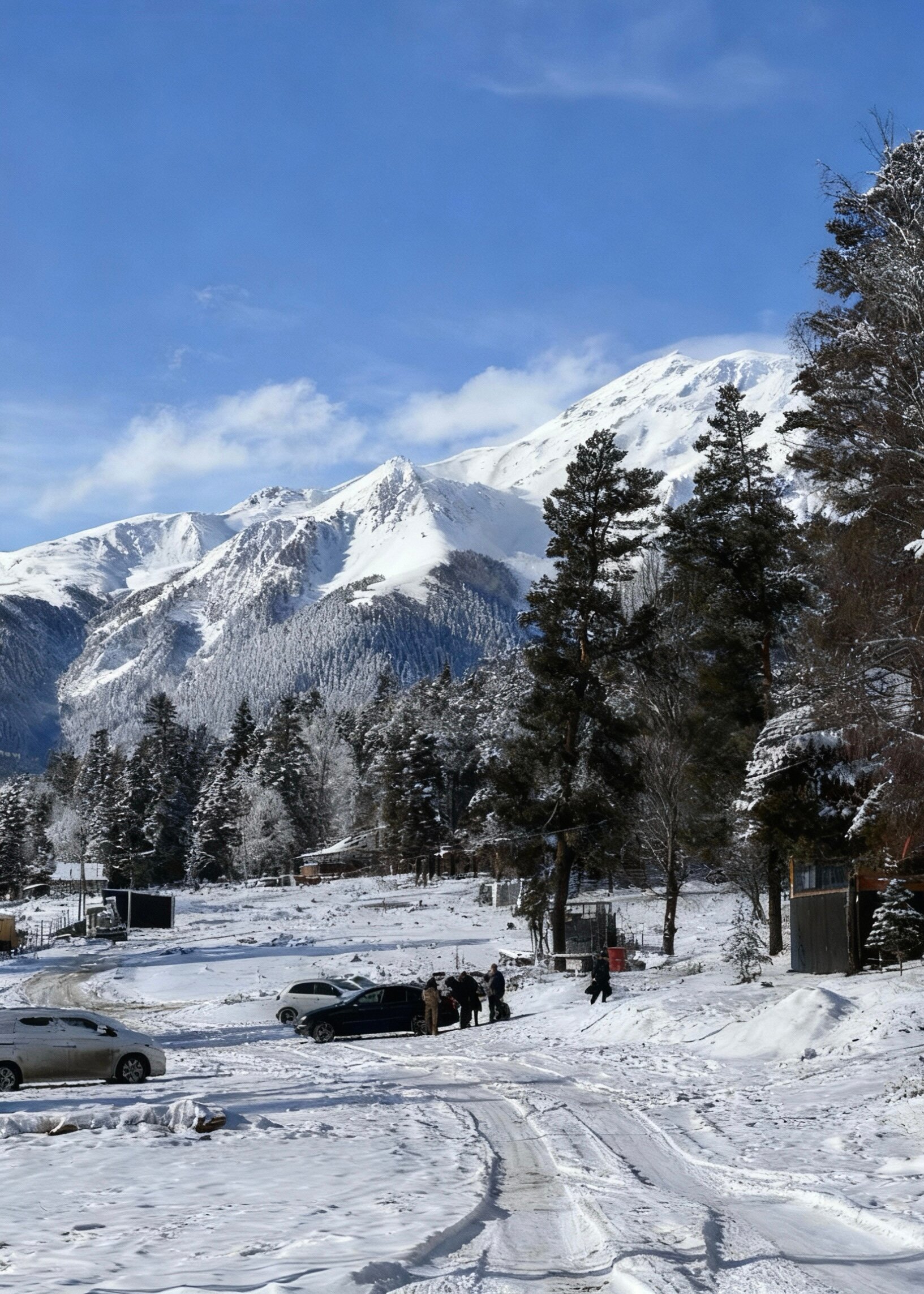 Фото Дух леса