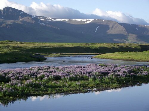 Гостиница Hótel Laxárbakki в Акранесе