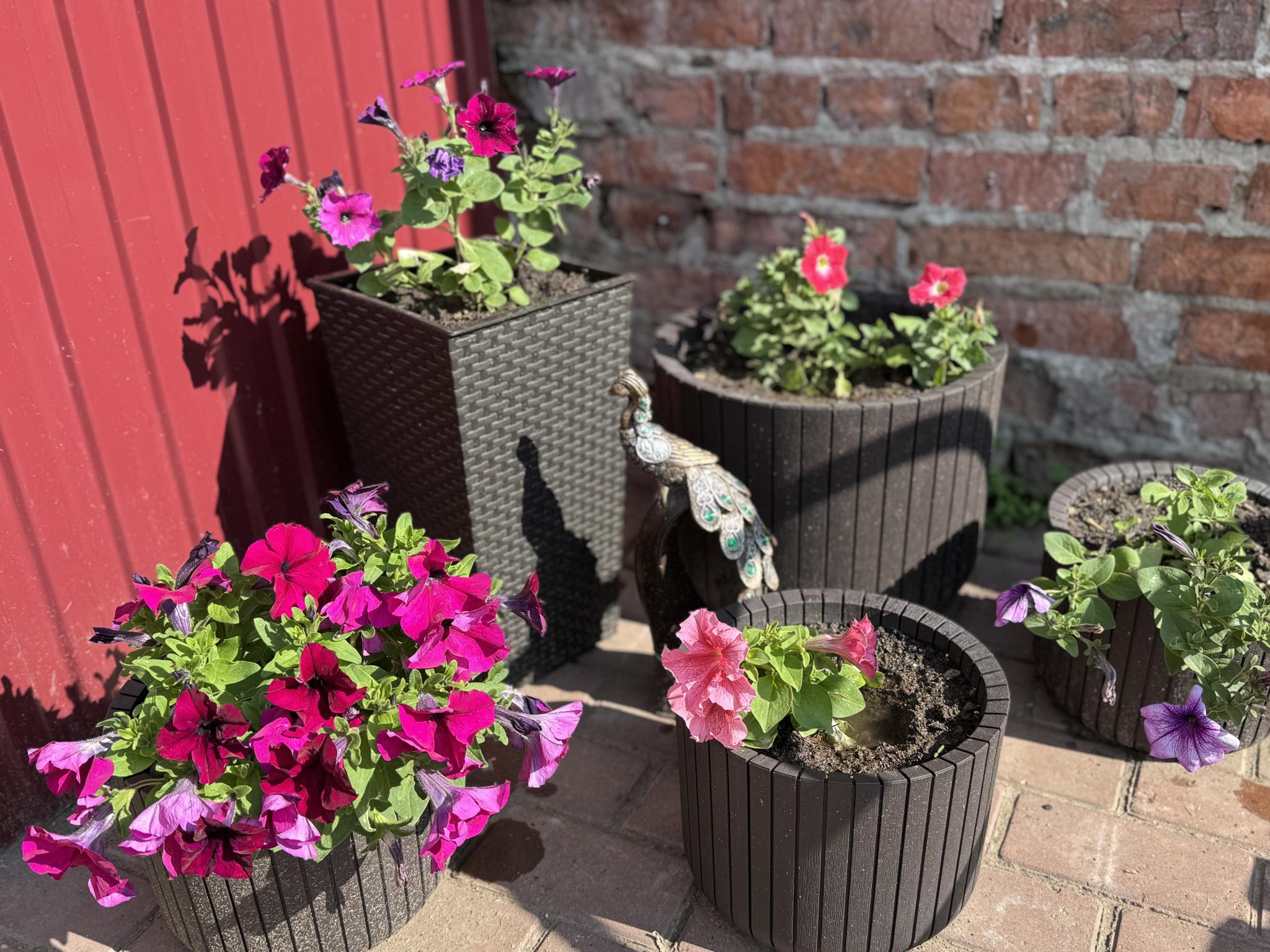 Фото Постоялый двор