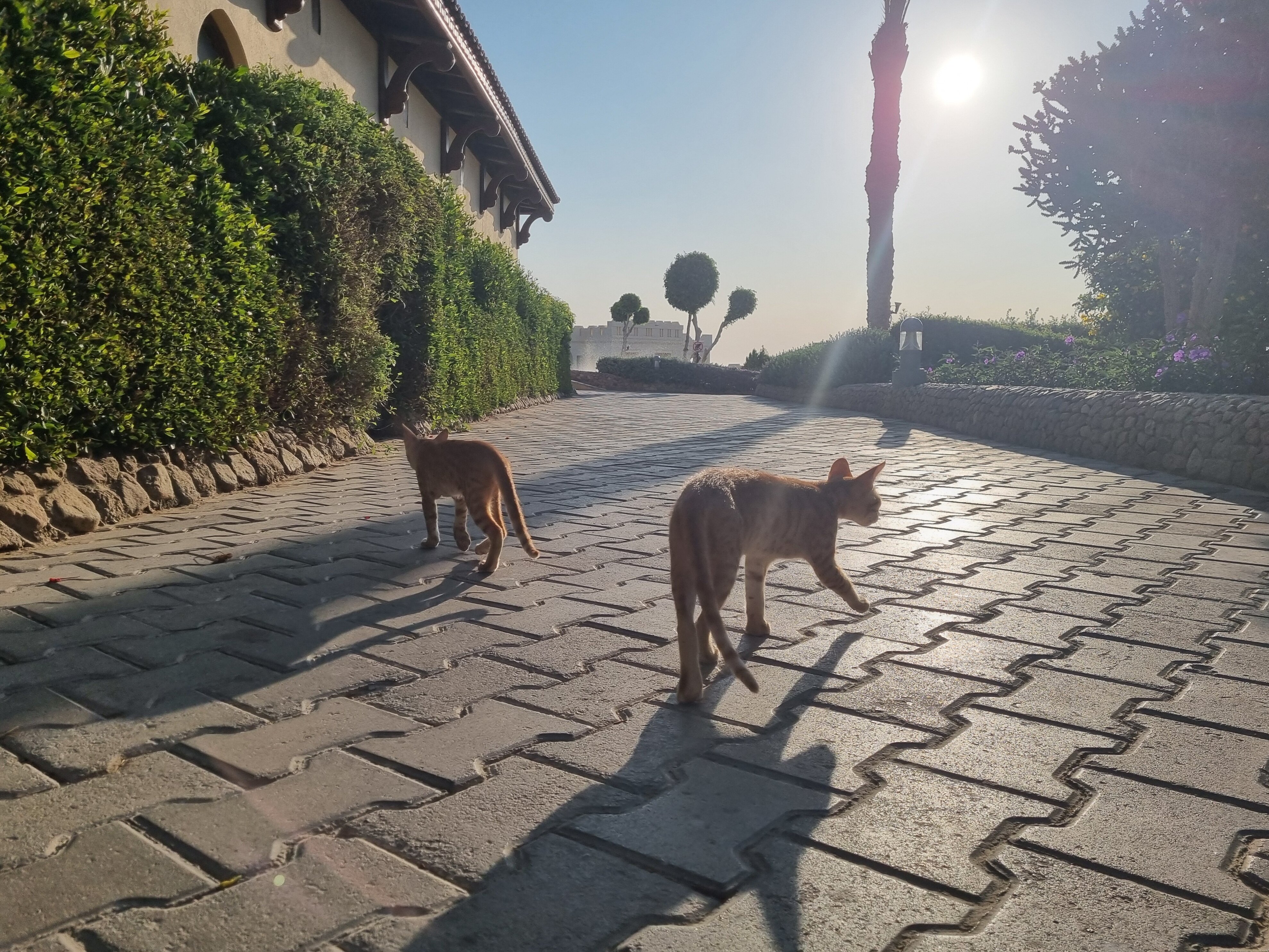 Фото Charmillion Club Resort