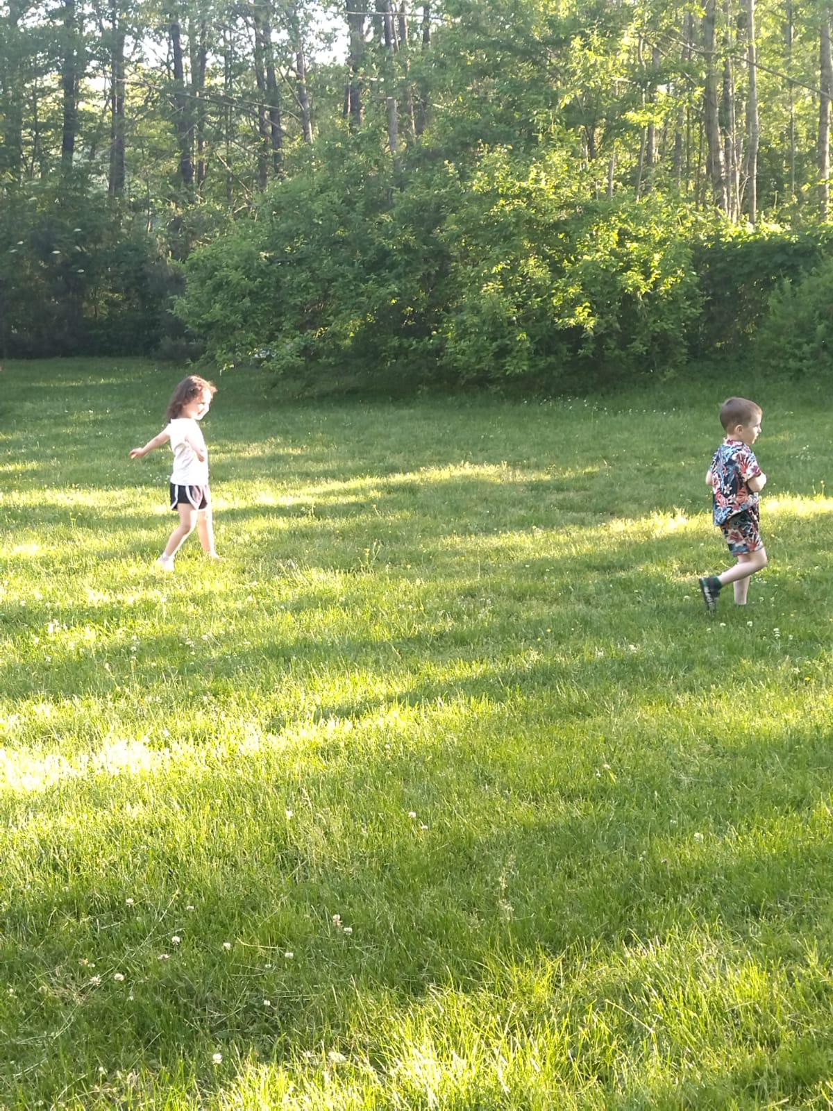 Фото Поляна Убинская