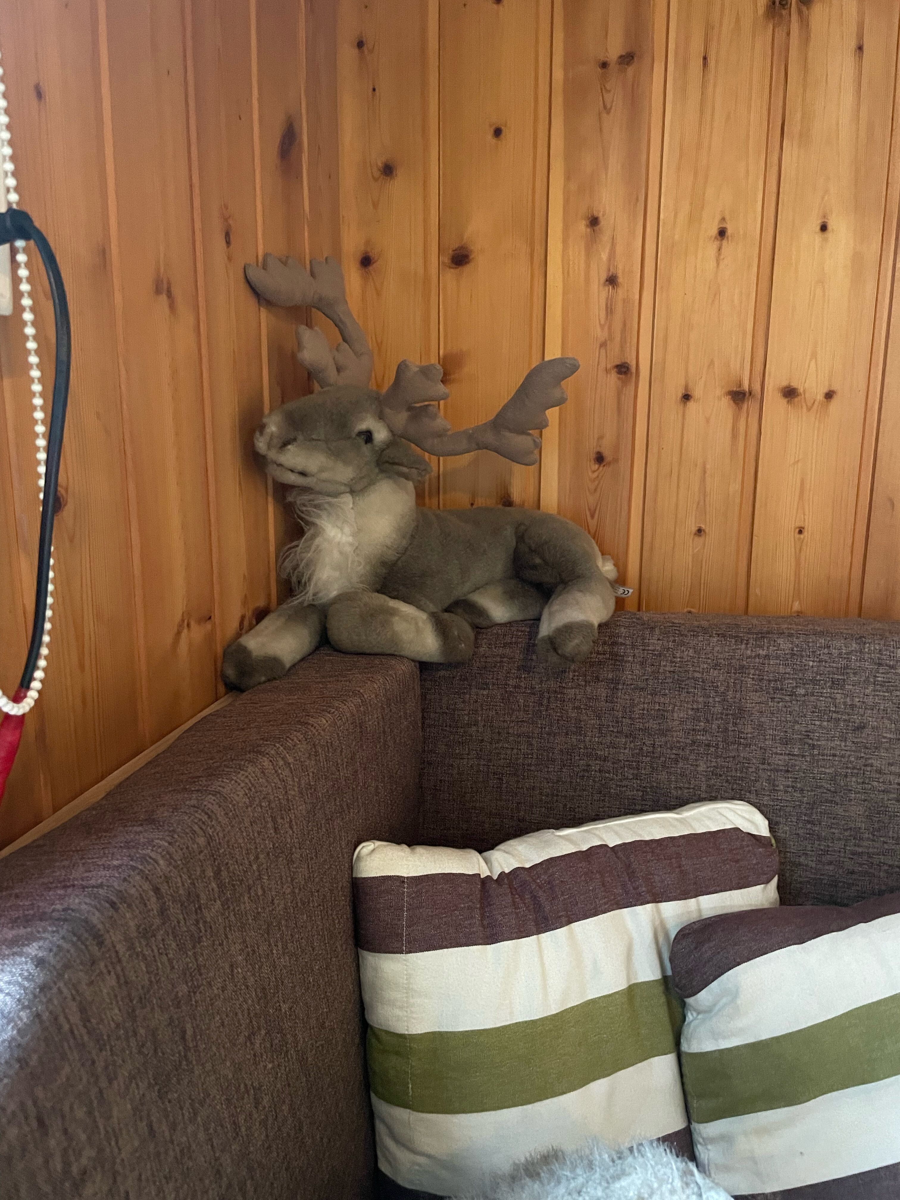 Фото Лось&Мох