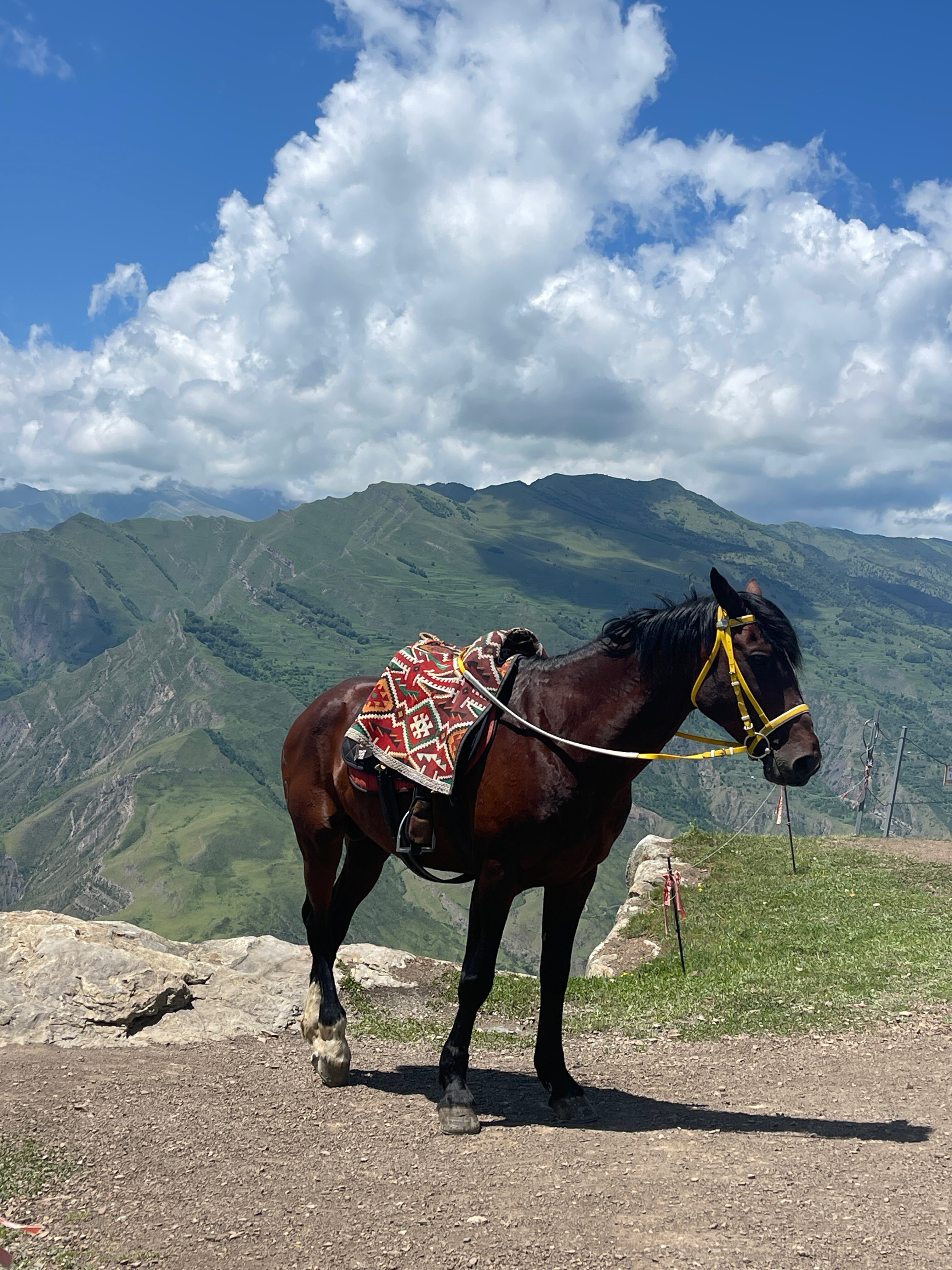 Фото Бархан