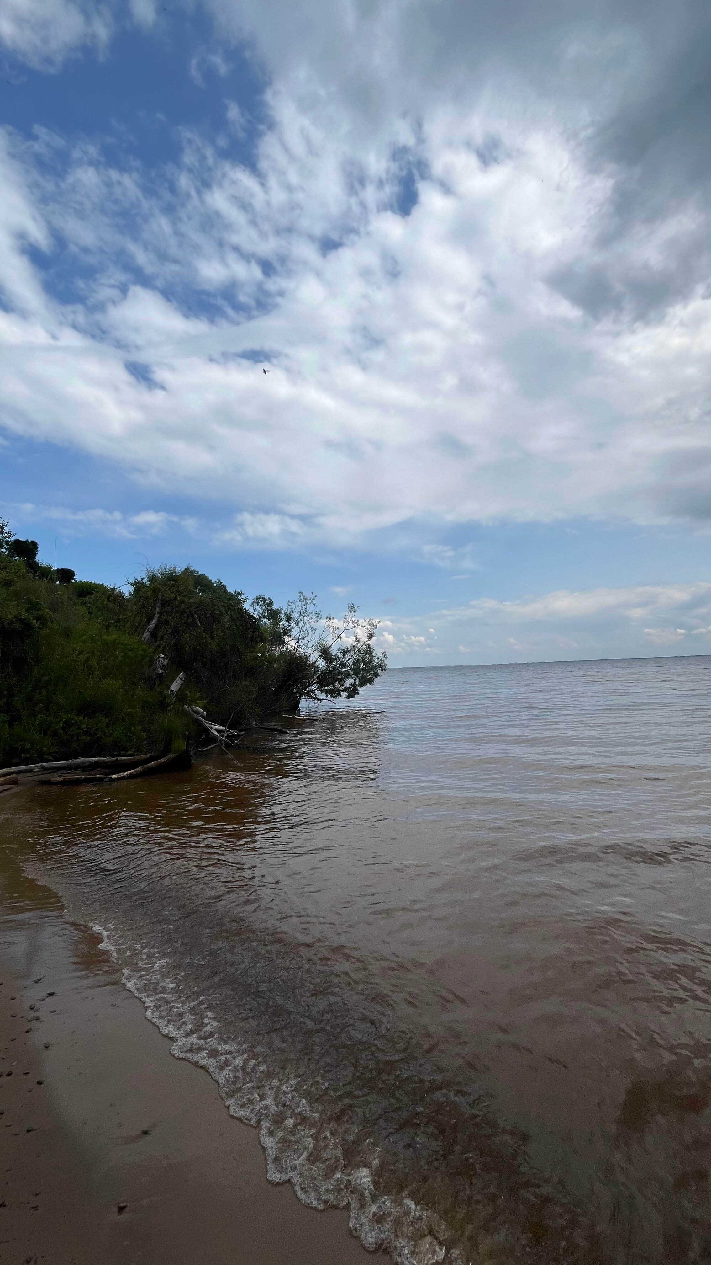 Фото Горы Море House