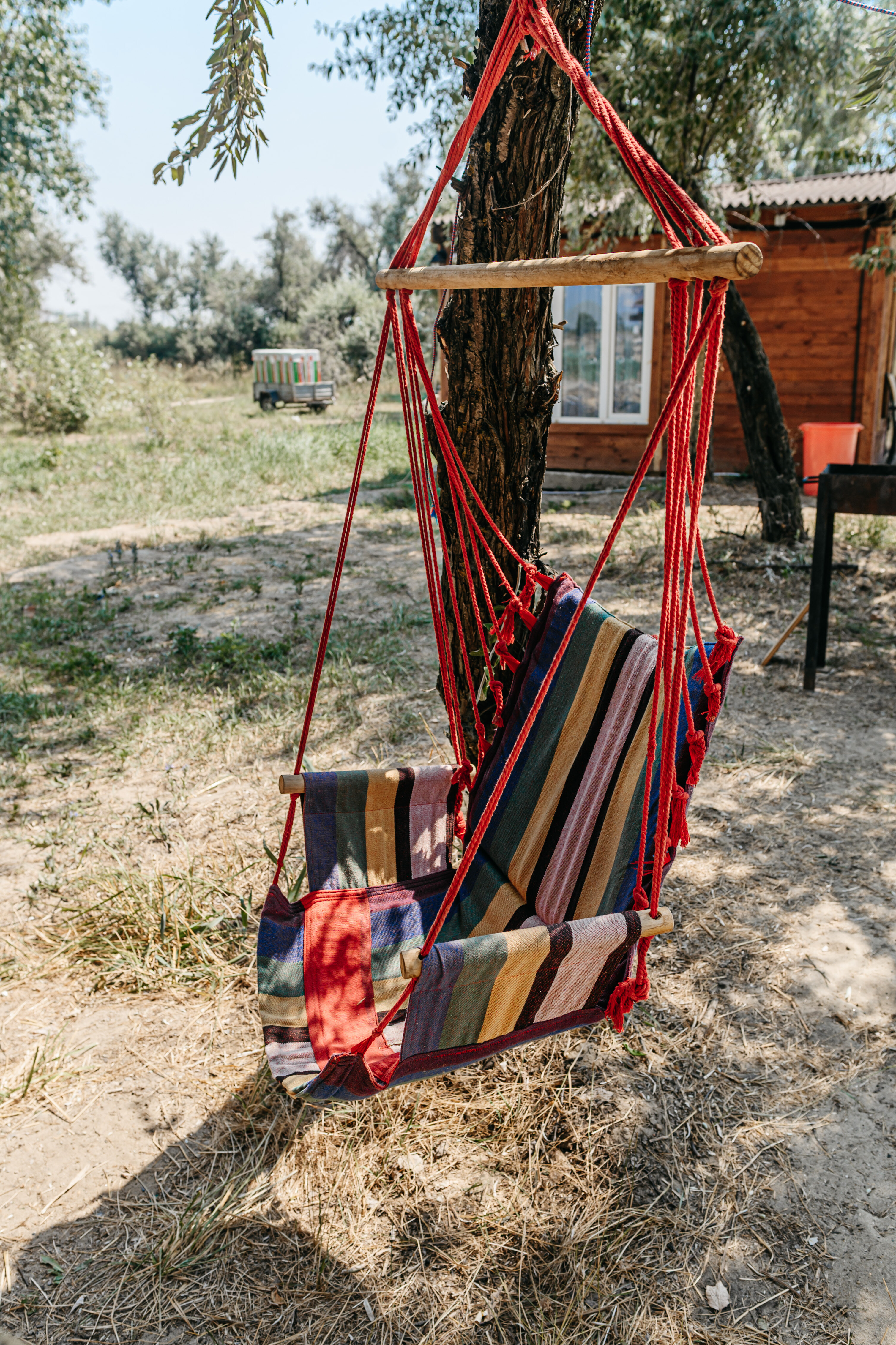 Фото Ягода-Малина