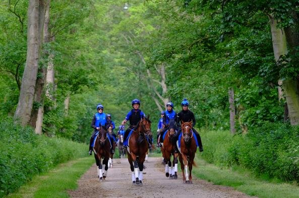 Horse riding Godolphin, Dubai, photo