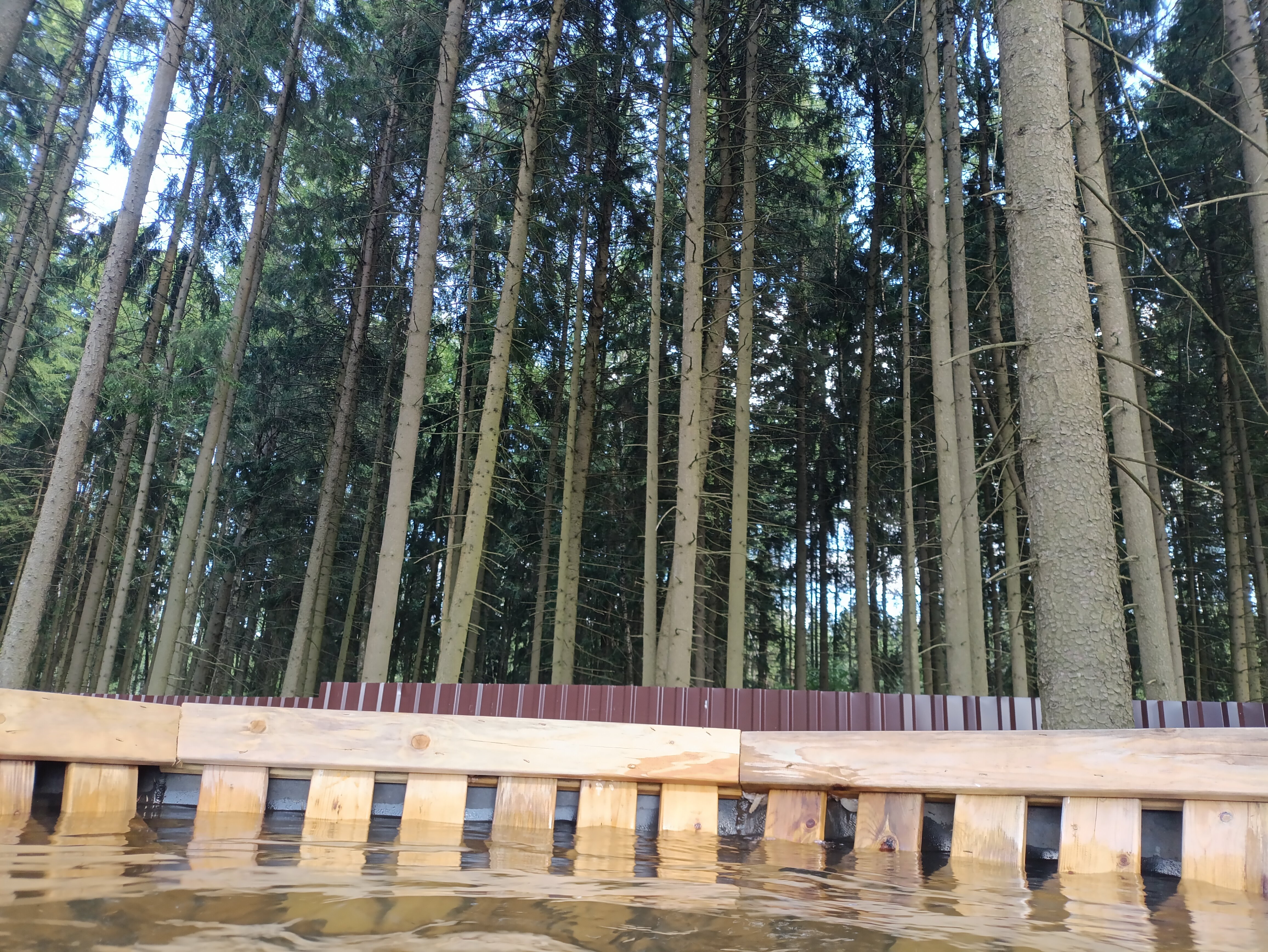 Фото Пайн Резортс