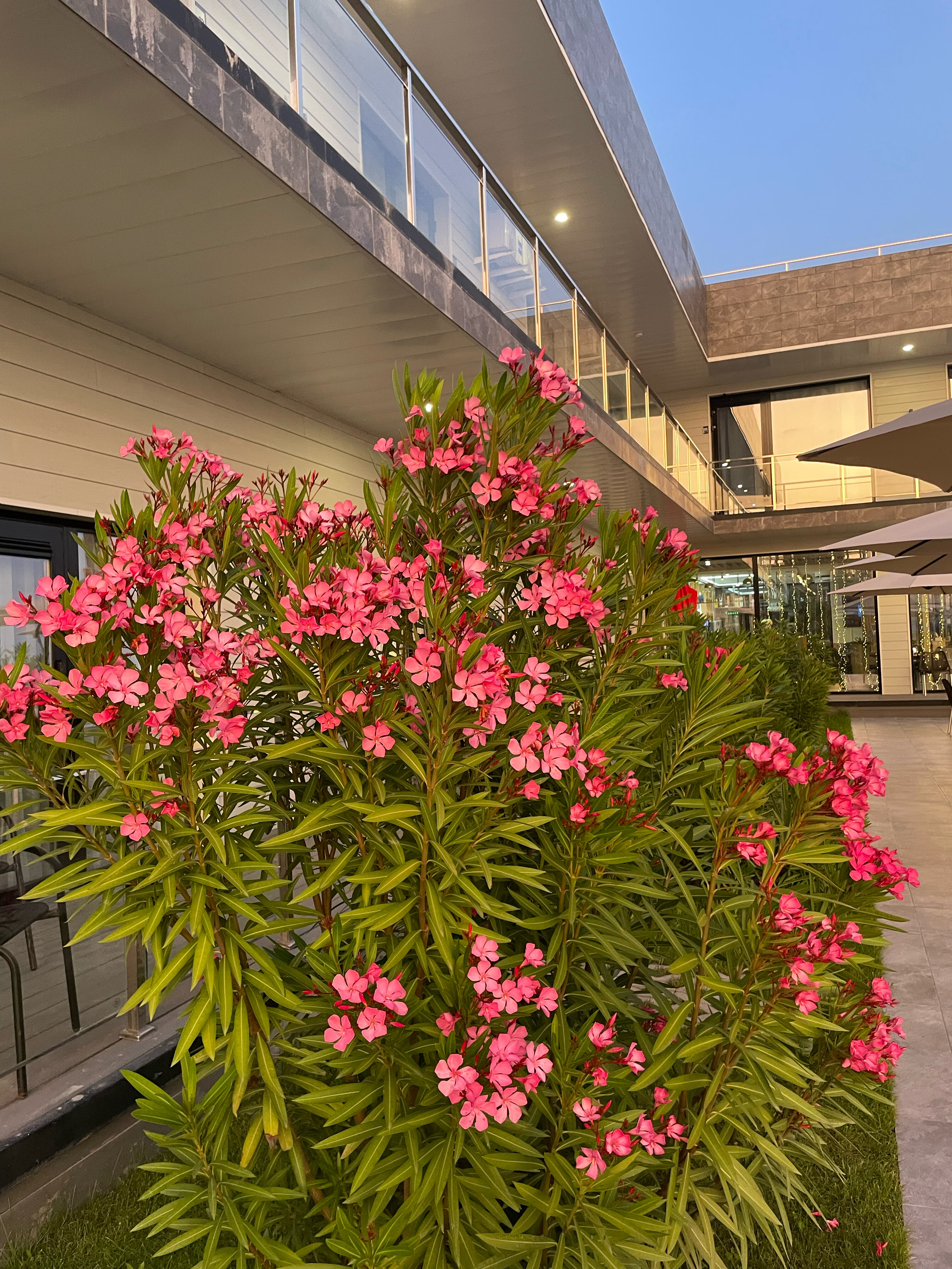 Фото Costa d’Ora