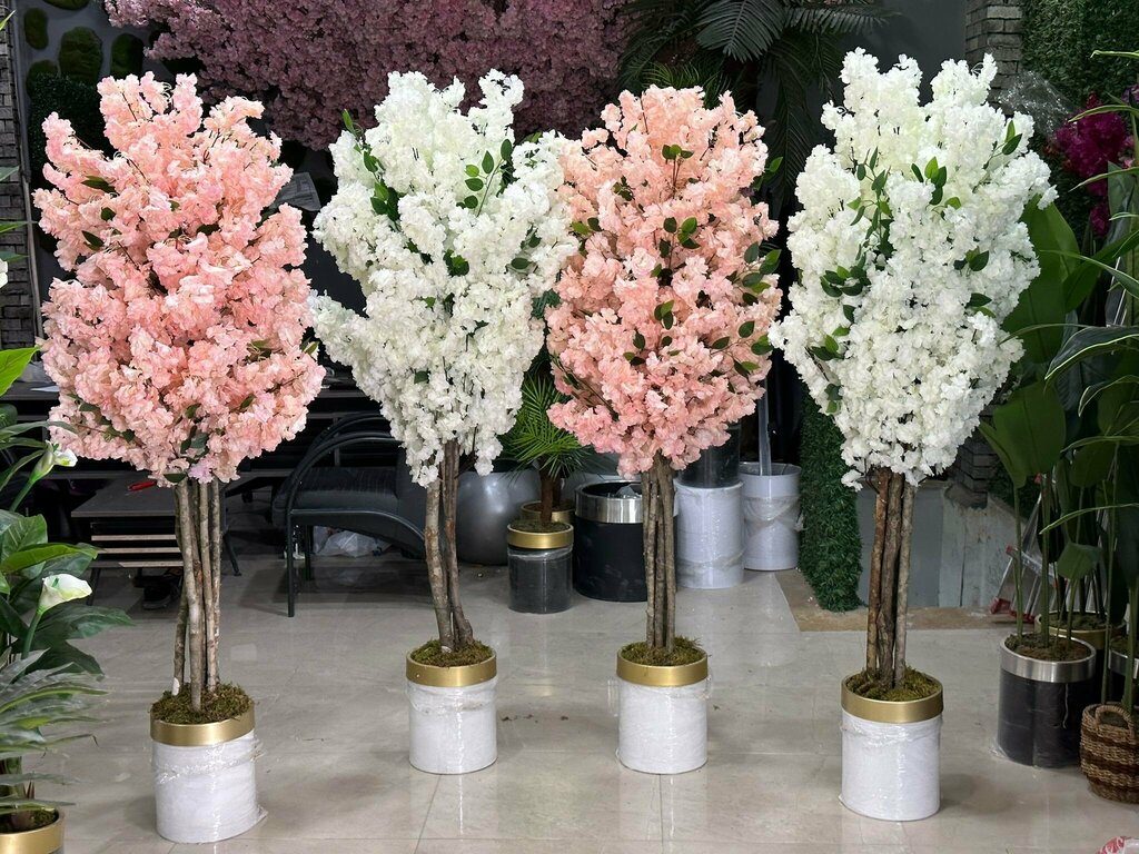 Flower shop Dazkırı Özgür Çiçekçilik & Organizasyon, Dazkiri, photo