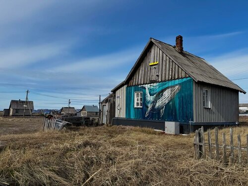 Турбаза Териберка House в Мурманской области