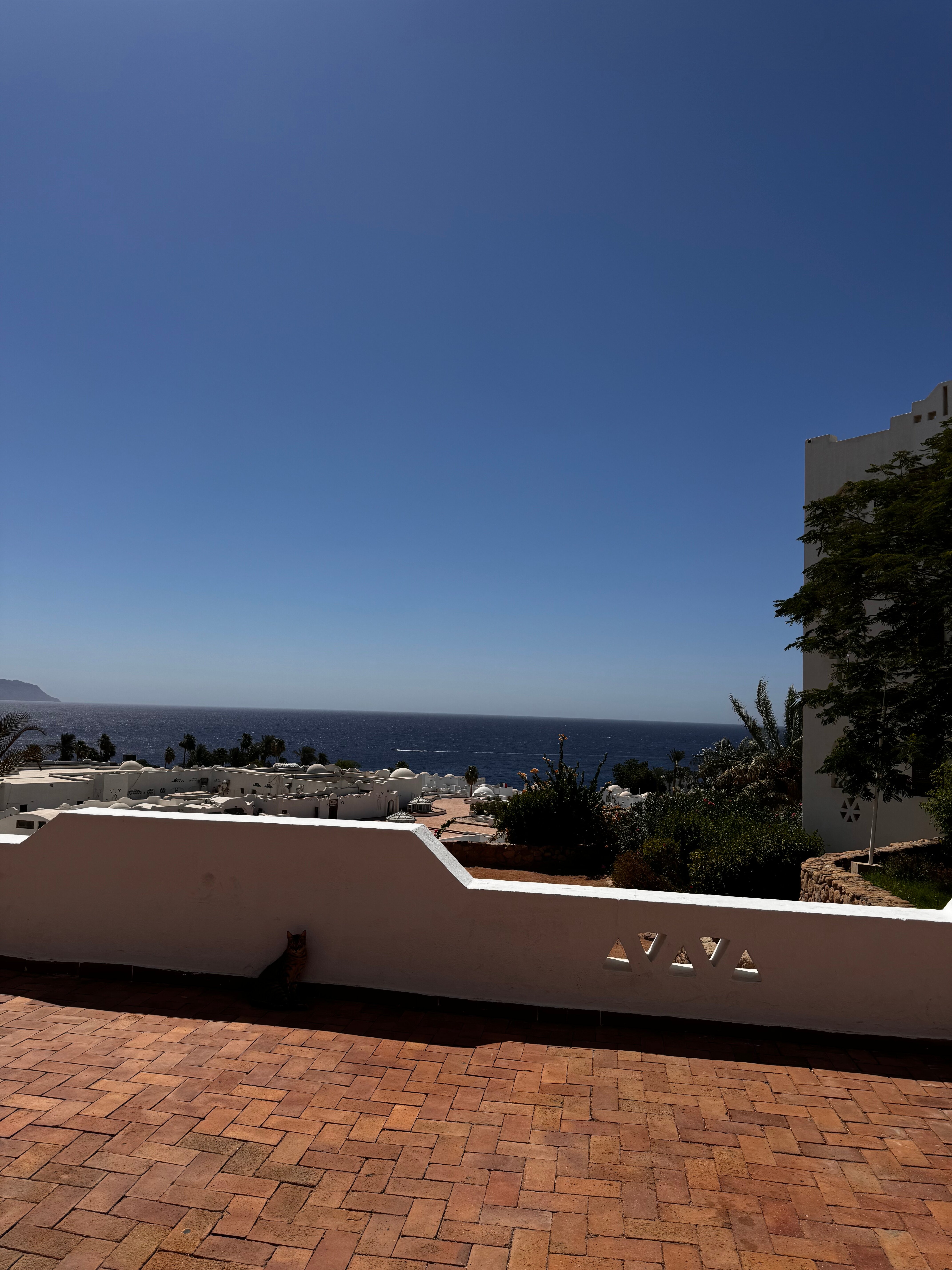 Фото Domina El Sultan Hotel & Resort