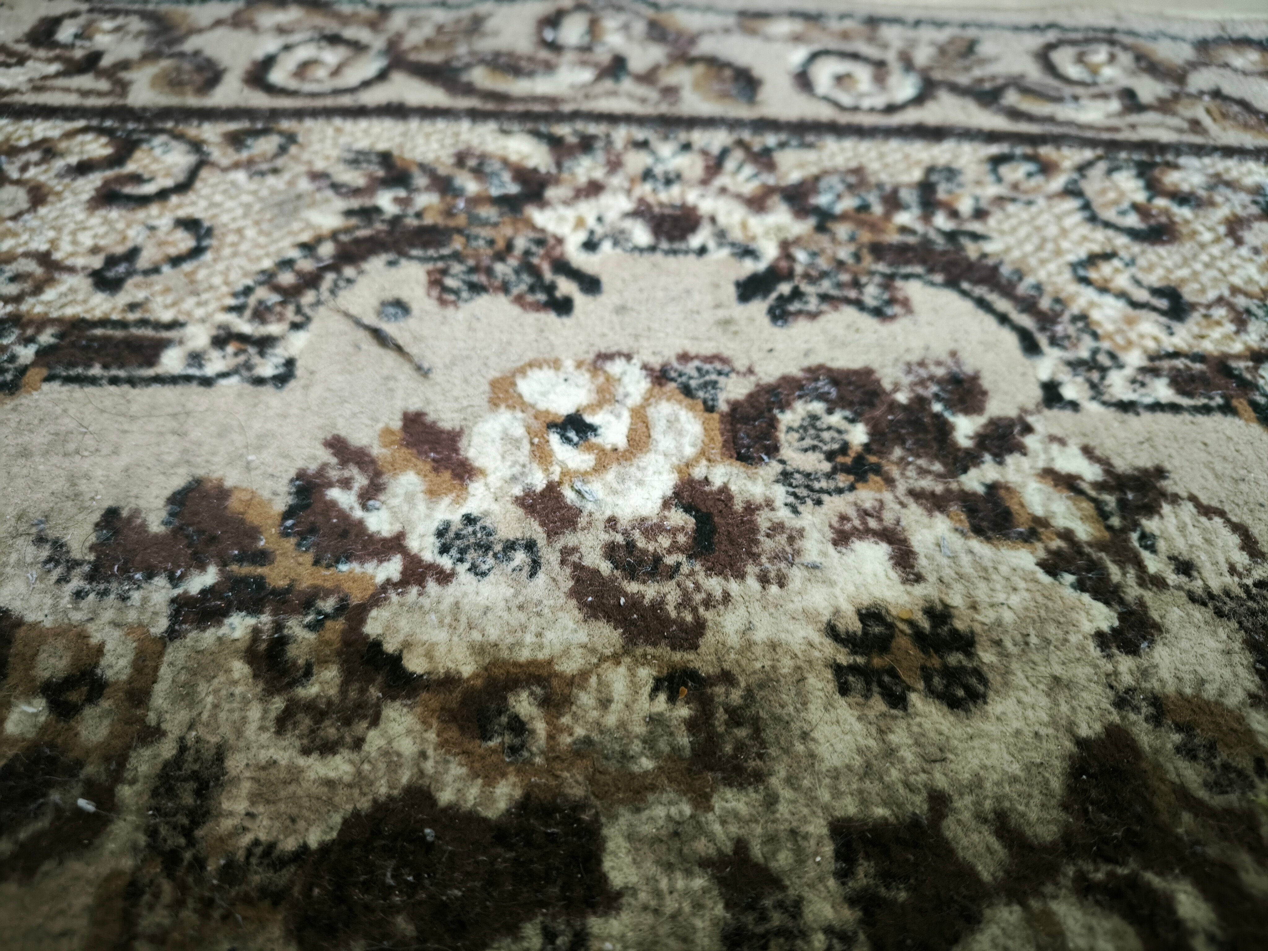 Фото Алишка