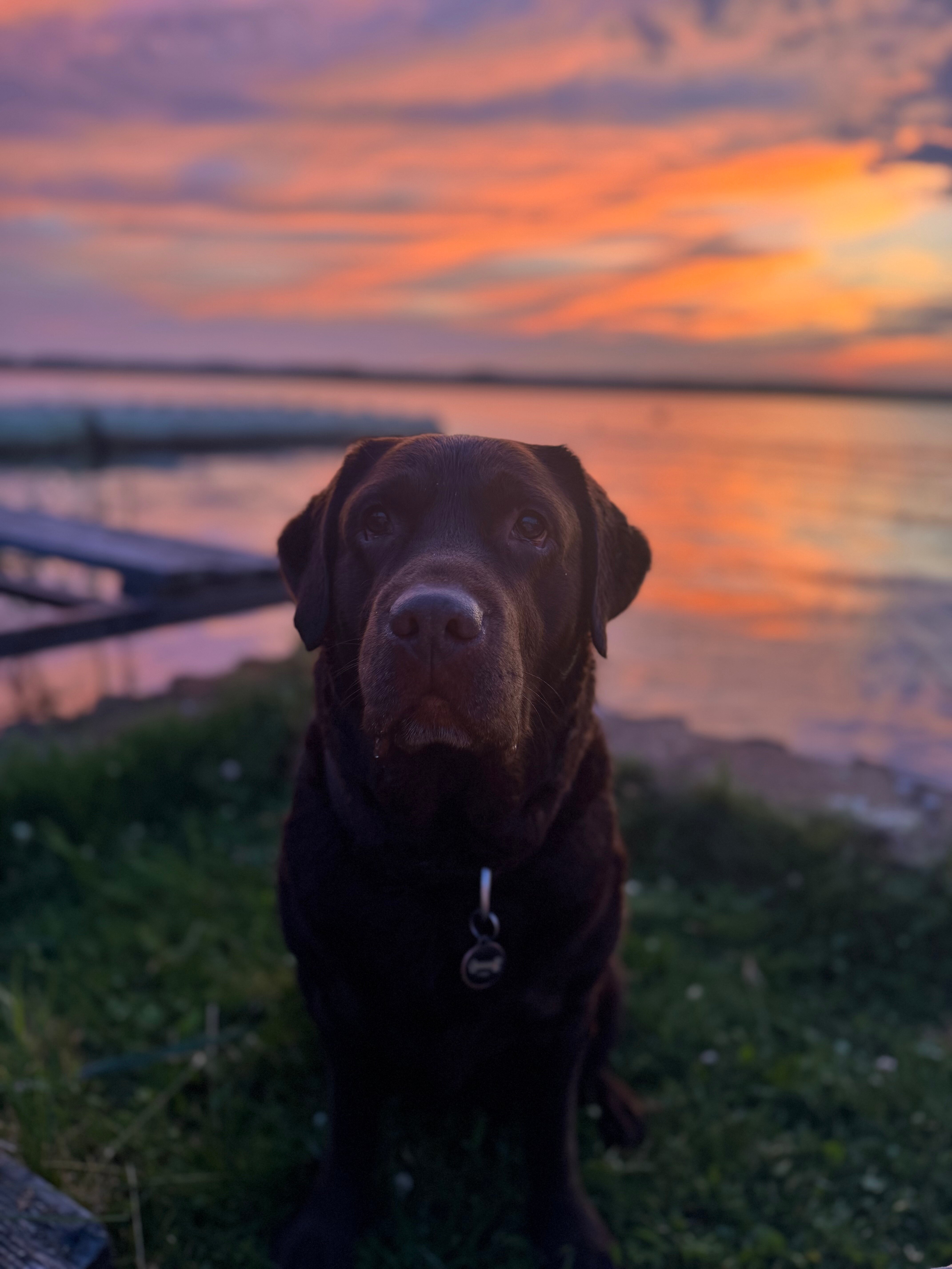 Фото Свирская