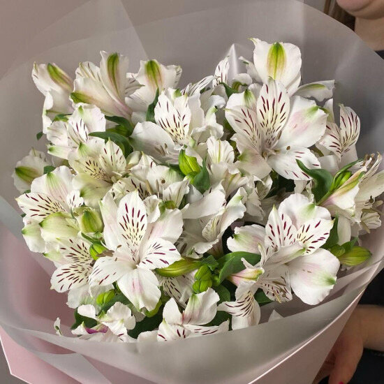 Güllərin və buketlərin çatdırılması Flor2u - Flower Delivery, Sankt‑Peterburq, foto