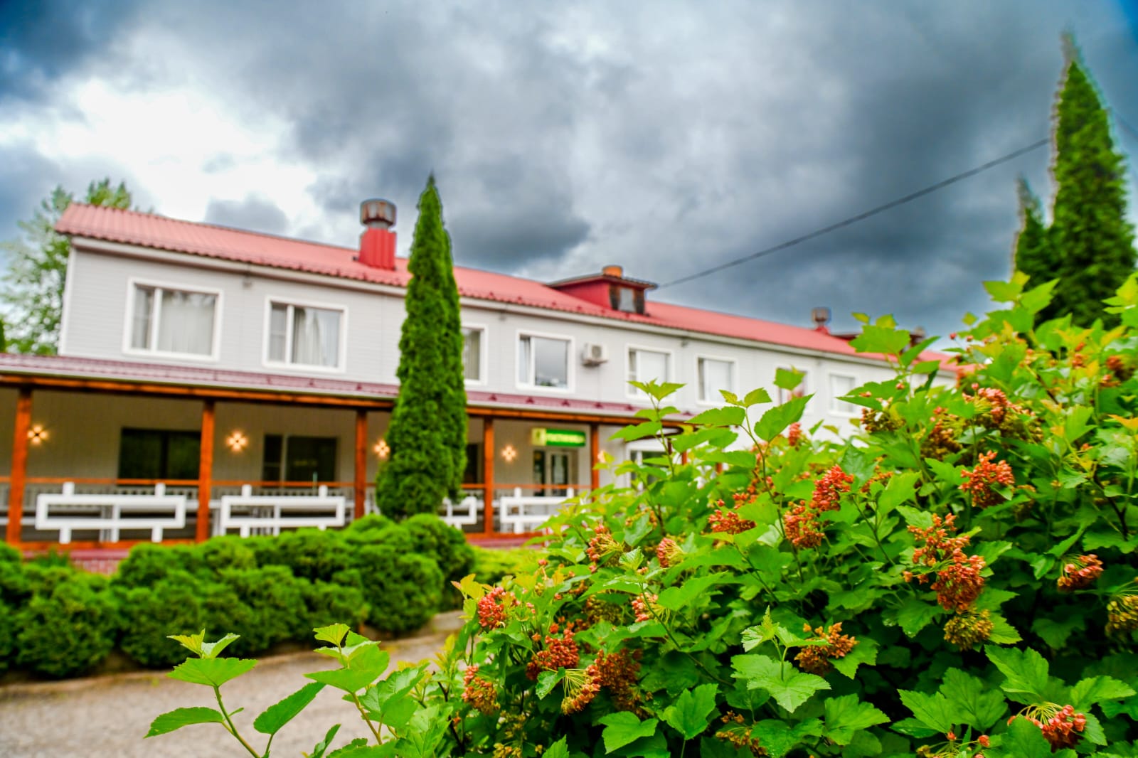 Фото Гармония Плюс