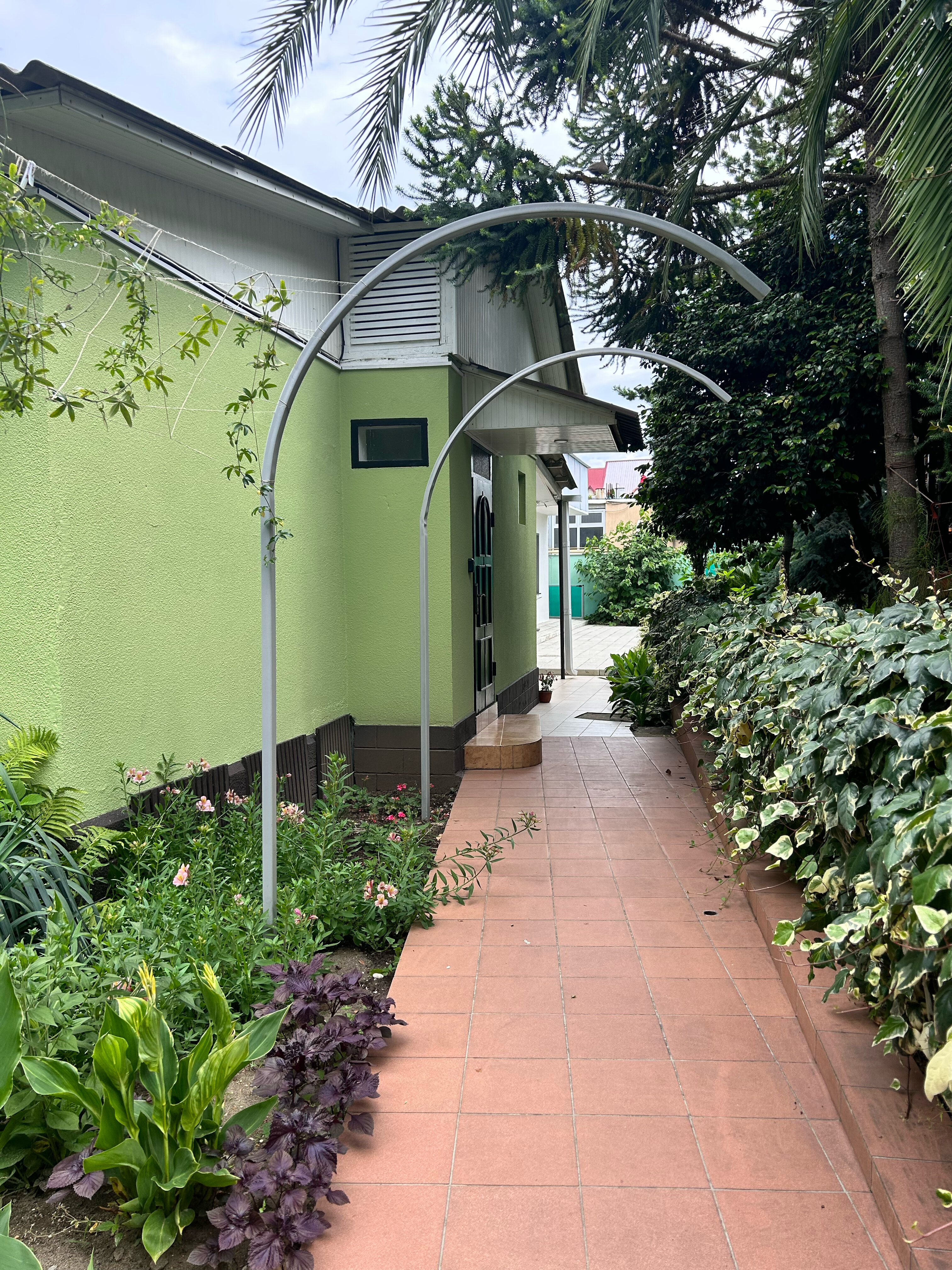 Фото Морель