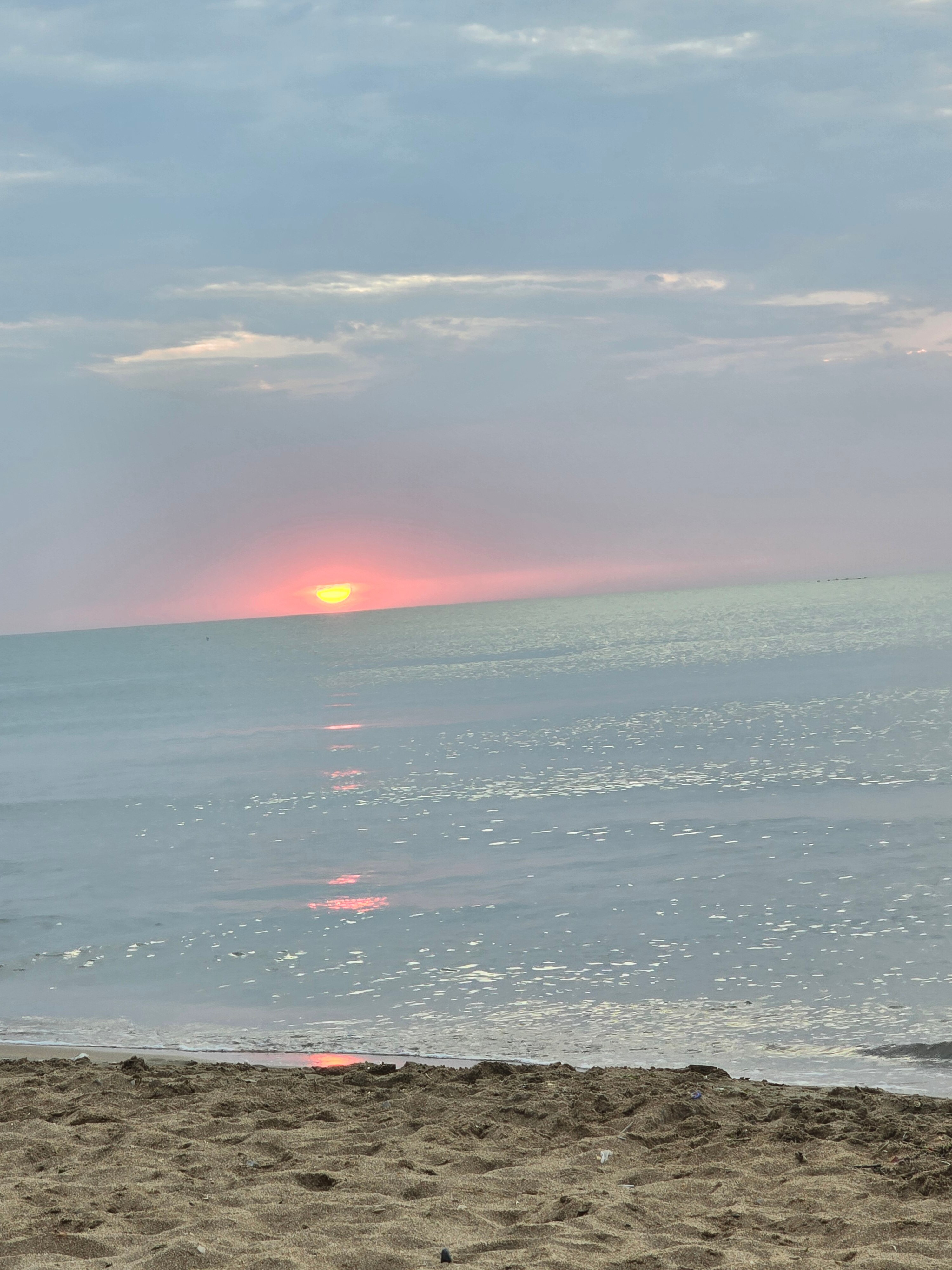 Фото Чемпион