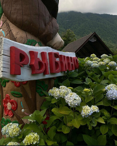 Турбаза Рыбино в Красной Поляне