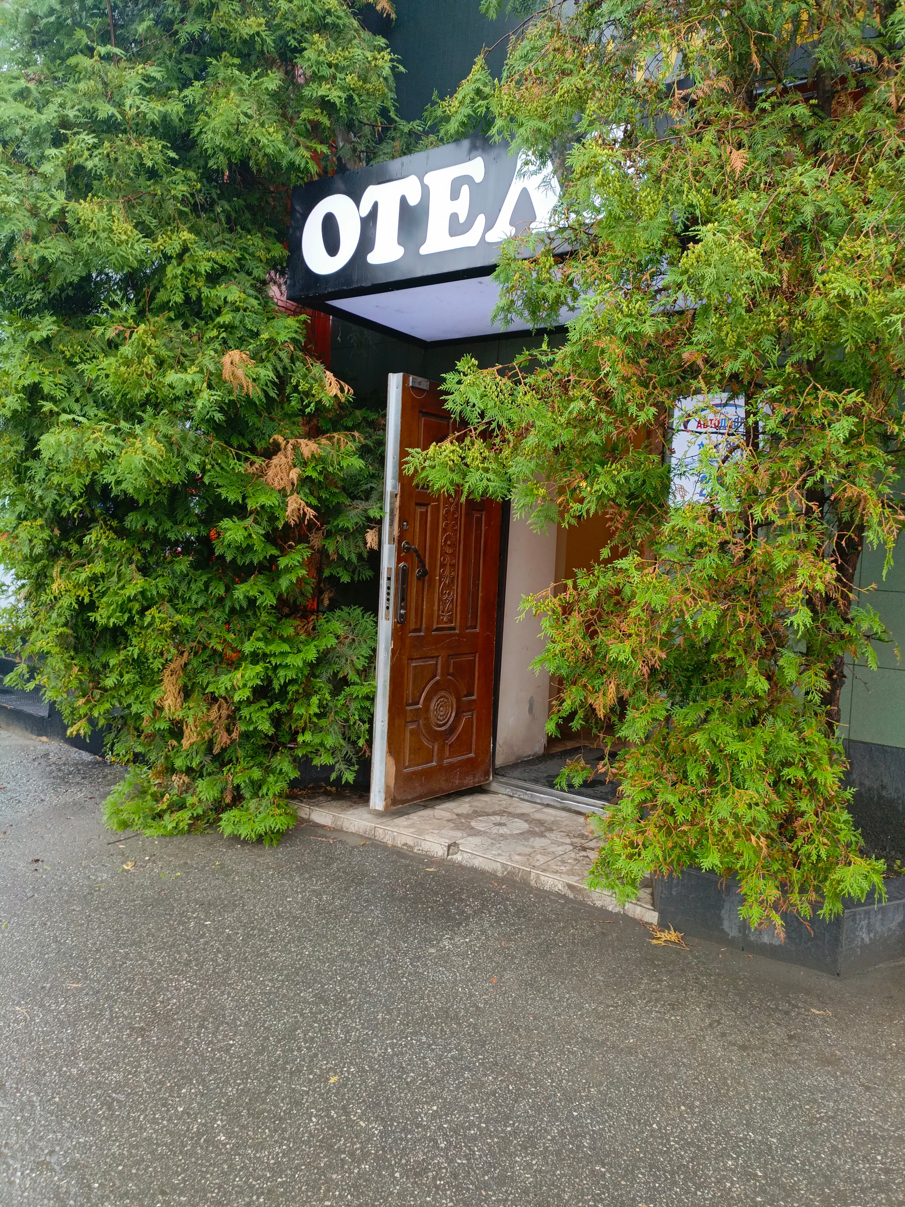 Фото Автодвор