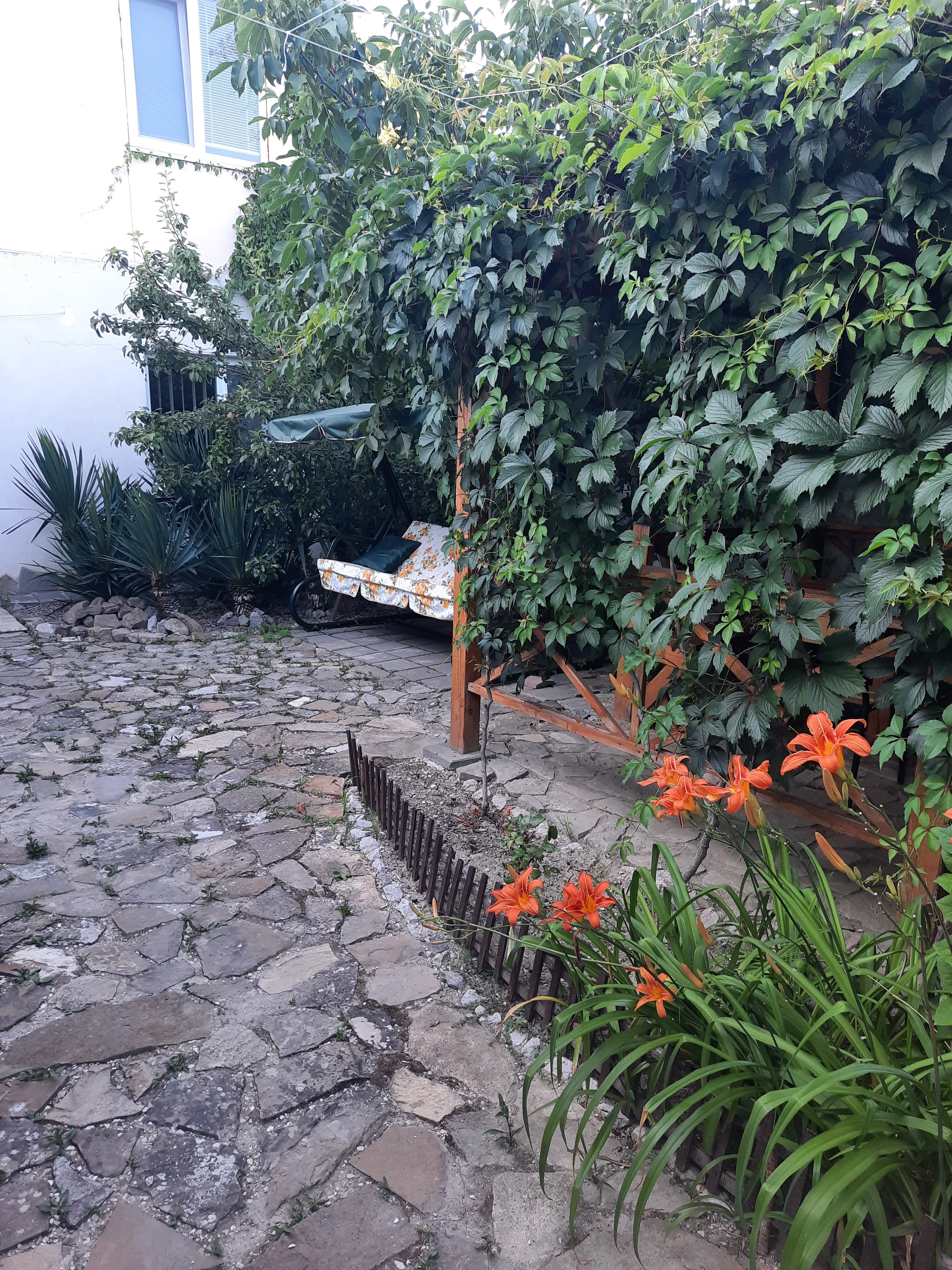 Фото Зелёный дворик