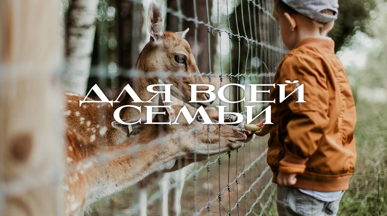 Фото Отель Бухта Афинеон