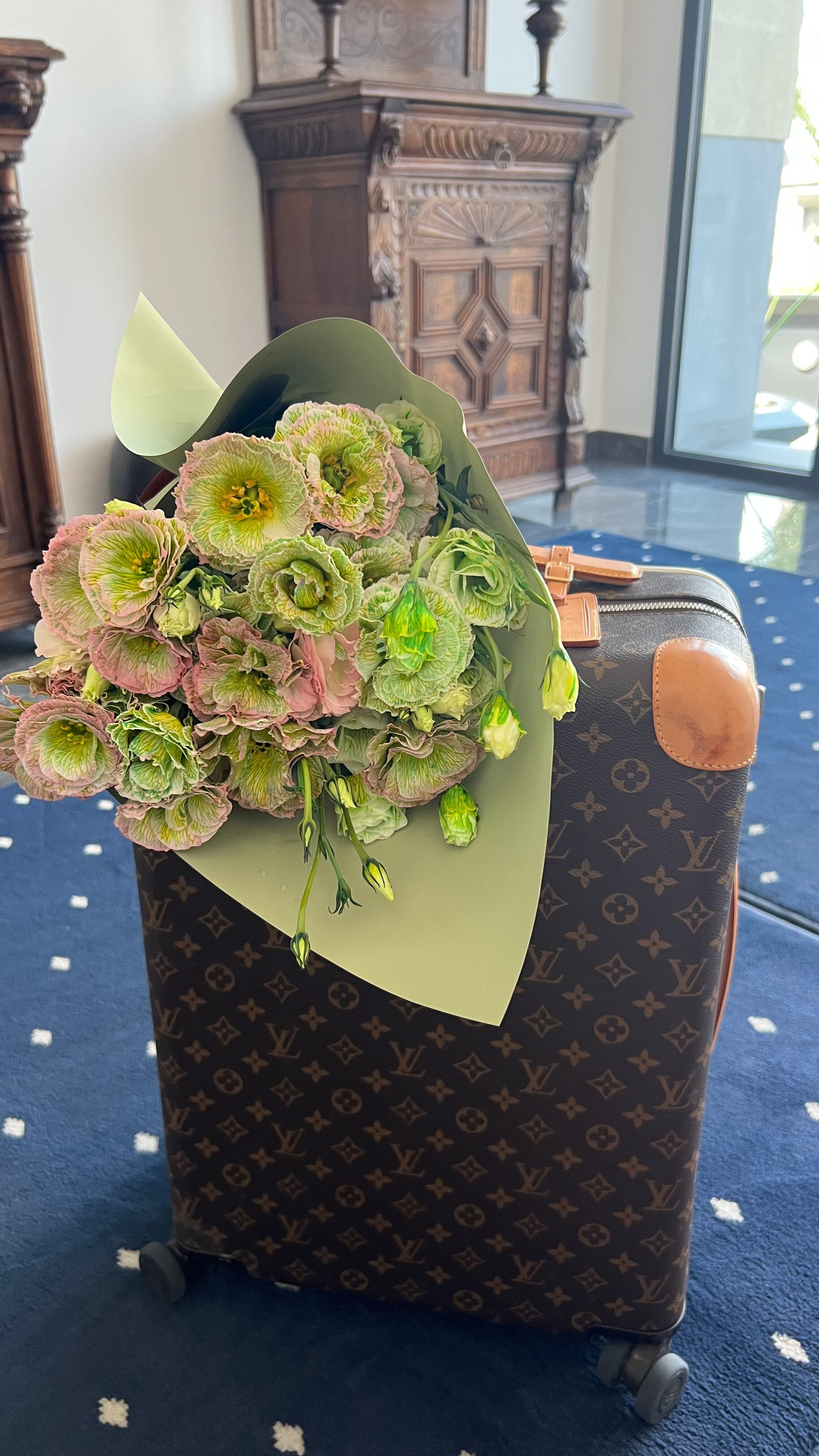 Фото Plaza Viktoria