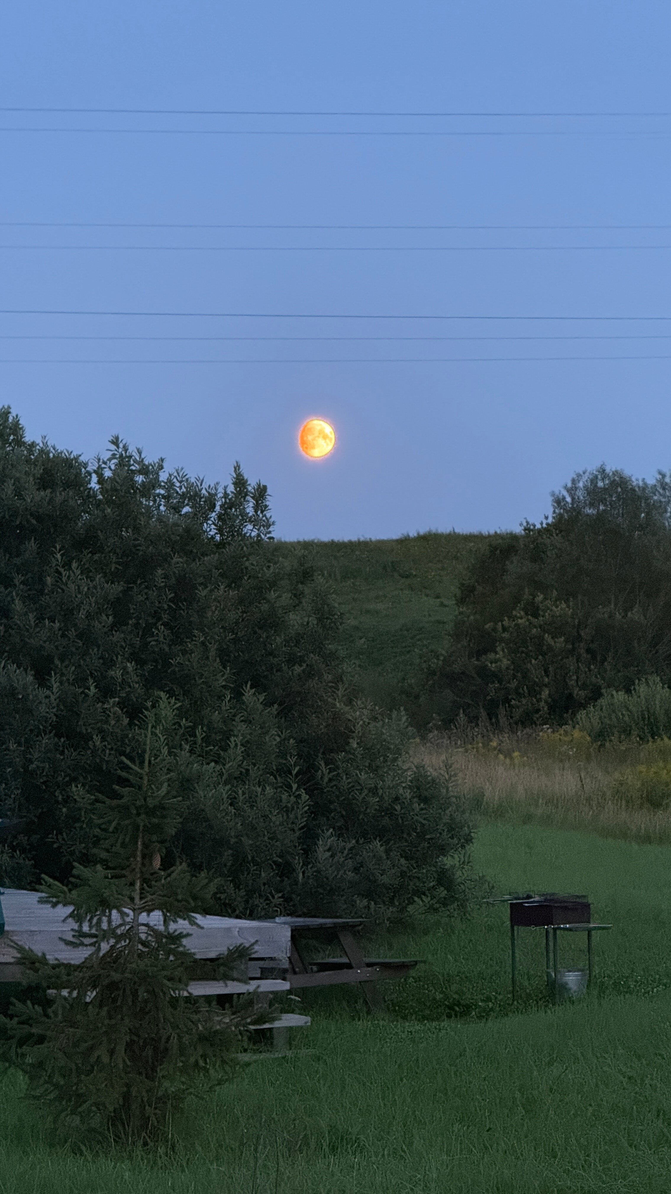 Фото Дом Грёз Тихое место