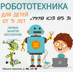 Робототехника (улица Маршала Бирюзова, 42), robotics