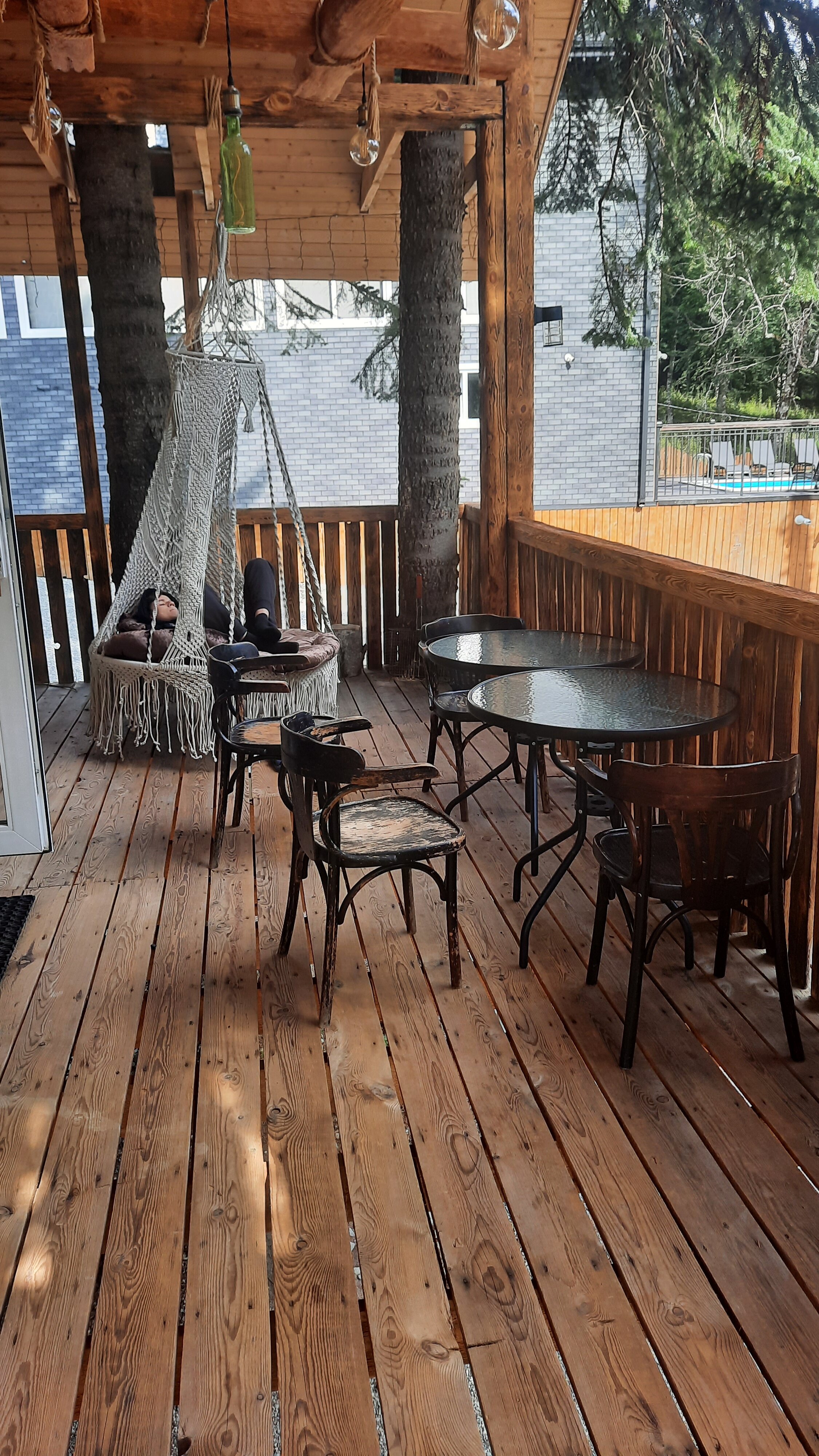 Фото Аргали