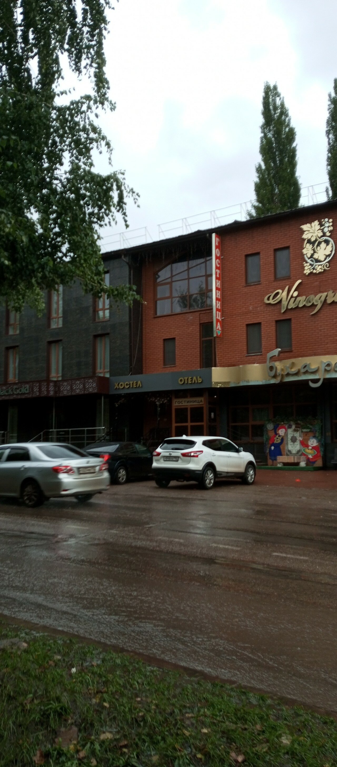 Фото Виноград