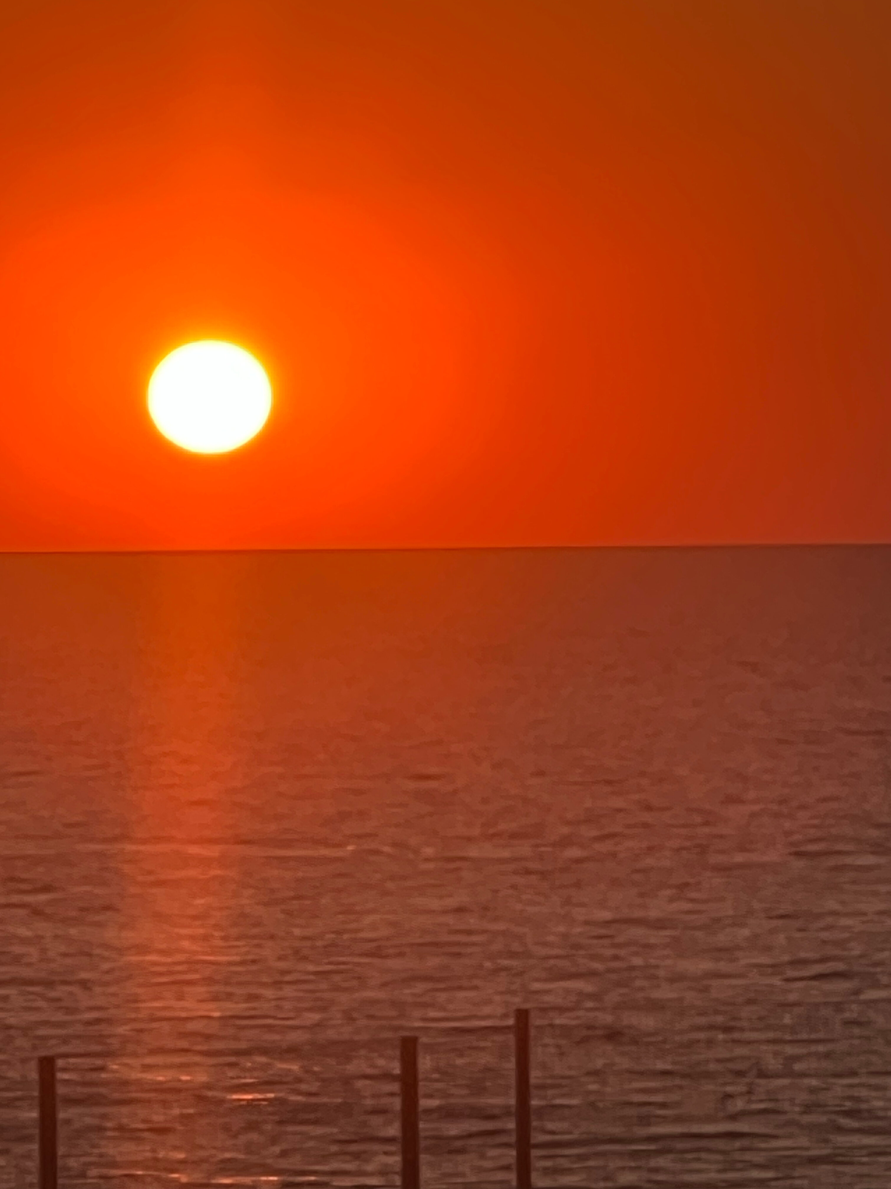 Фото Гарден