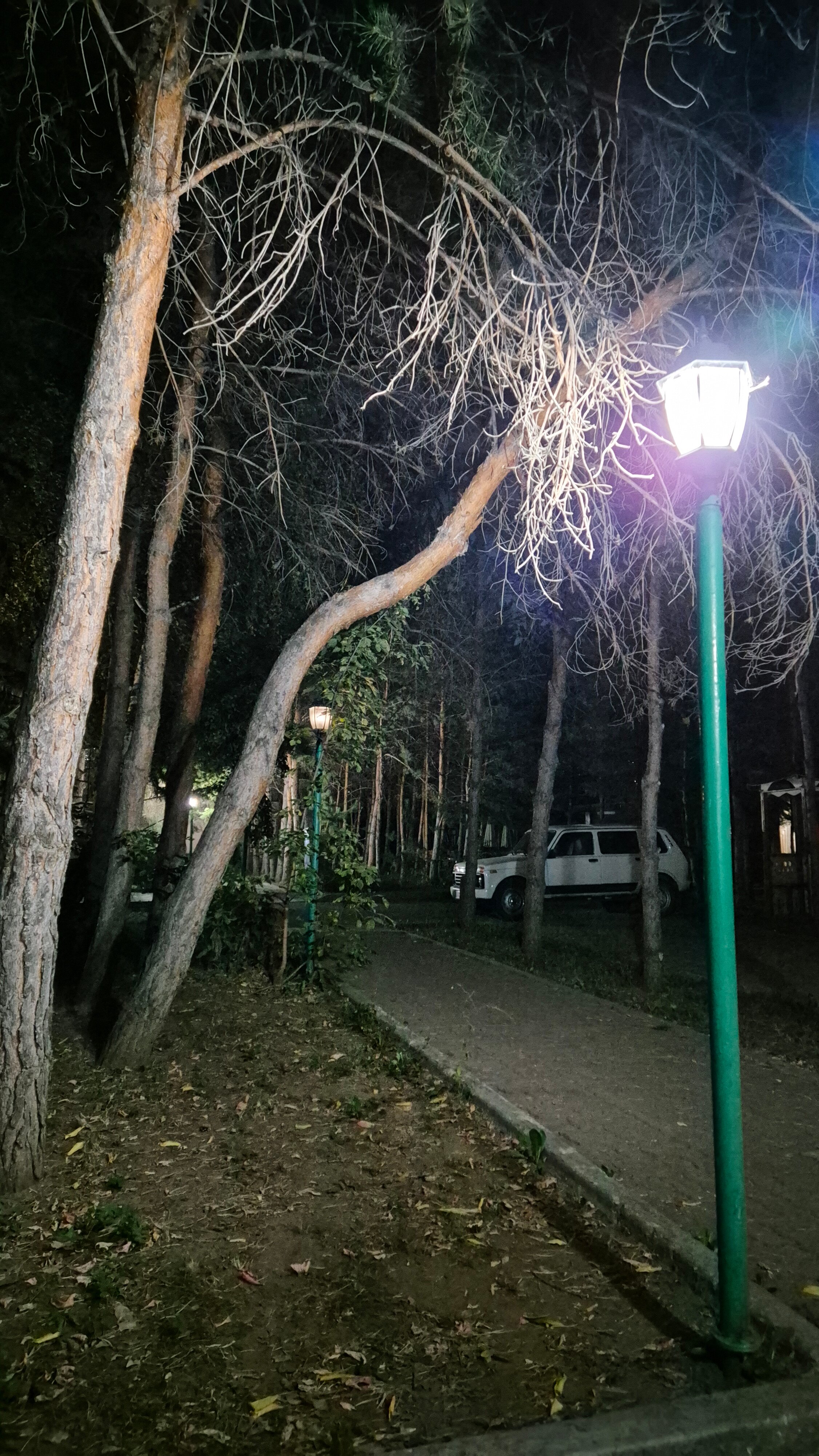 Фото Гостиница Жибек-Жолы