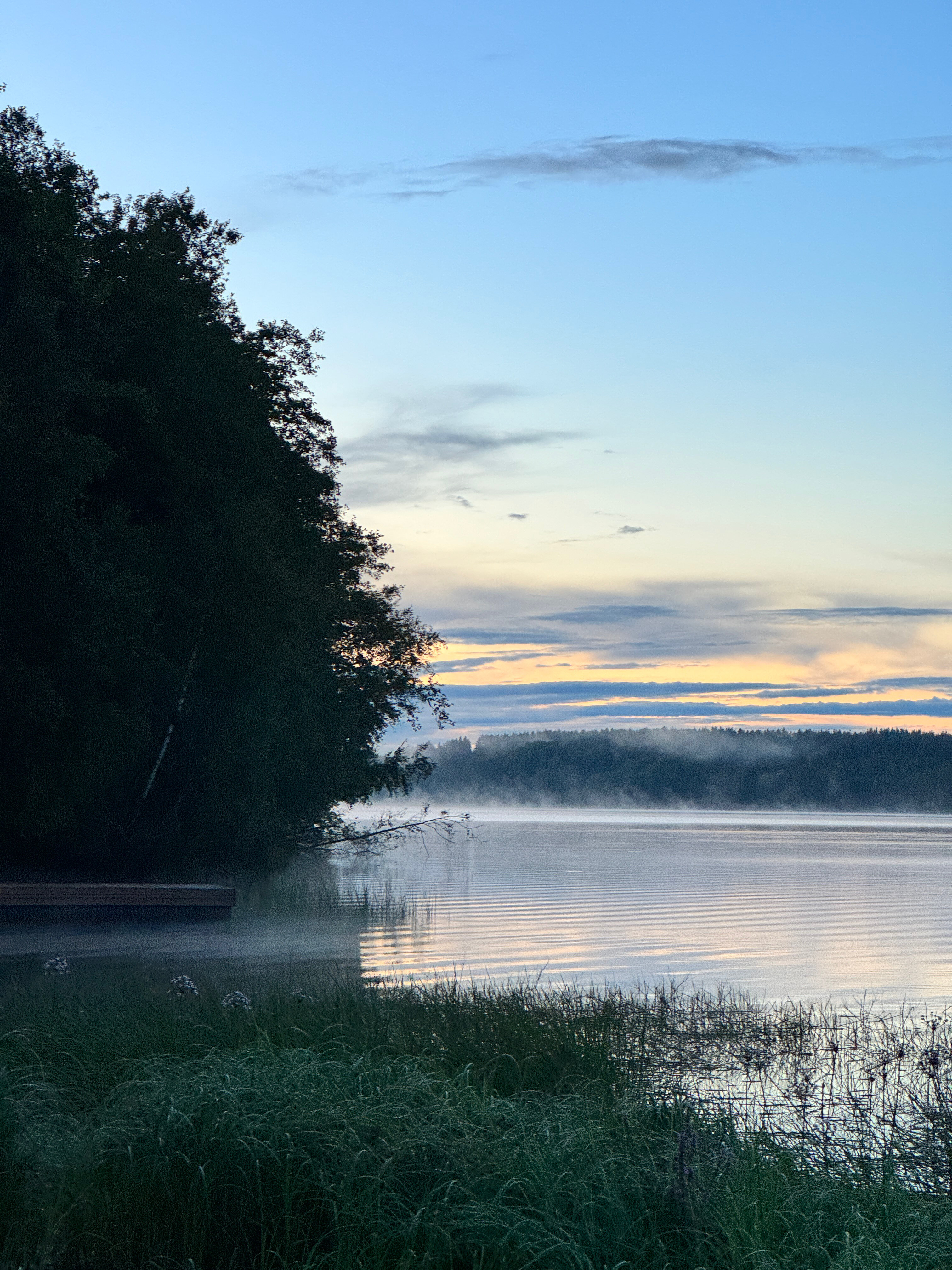 Фото Ёlki в Правдинское озеро