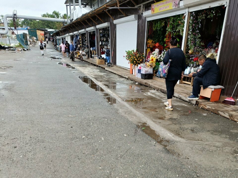 Artificial plants and flowers Мир искусственных цветов, Vladivostok, photo